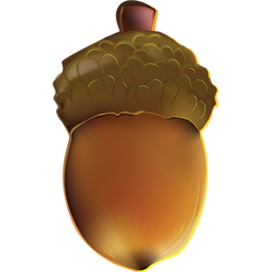 Acorn PNG image, free, acorns-733